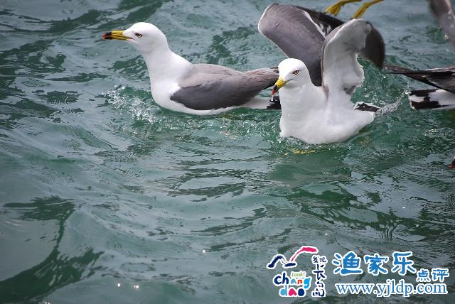 長(zhǎng)島風(fēng)光