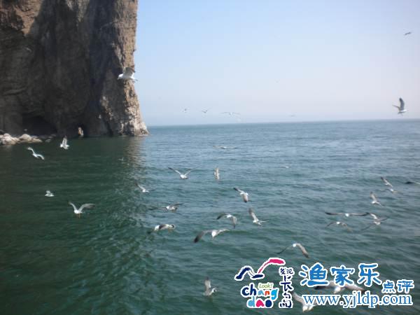 長(zhǎng)島風(fēng)景圖片