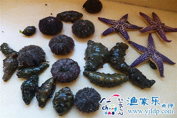 長(zhǎng)島海鮮