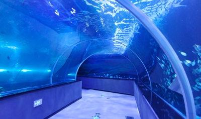 濱州海底世界02