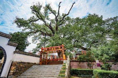 探尋徽州秘境06_副本 探尋徽州秘境06_副本