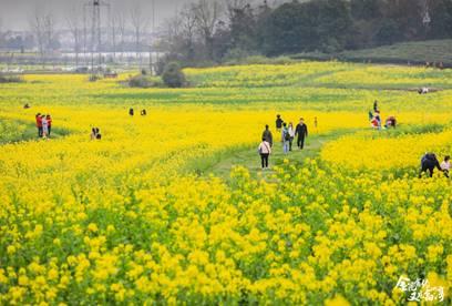高淳紅色旅游02 高淳紅色旅游02