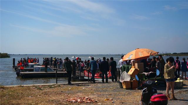 陽澄湖農(nóng)家樂旅游一日游，品蟹、游文化老街，賞文化名鎮(zhèn)