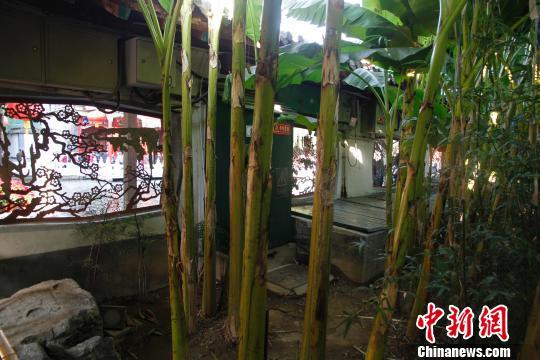 點擊進入下一頁