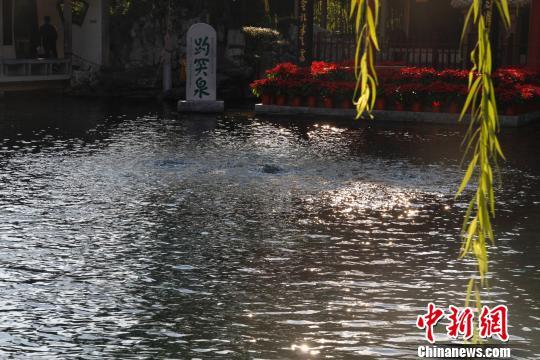 點擊進入下一頁