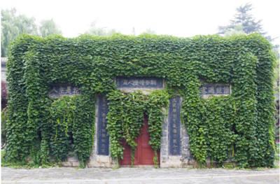 千唐志齋01_副本