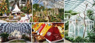 黃果樹奇遇嶺02 黃果樹奇遇嶺02