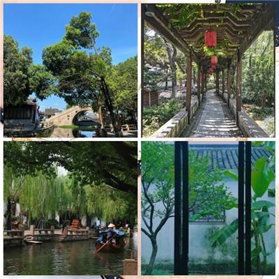 蘇州園林01 蘇州園林01