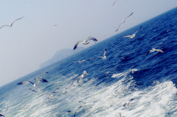 旅游攻略圖片19