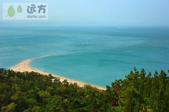 與萬只海鷗成為朋友 山東煙臺(tái)長(zhǎng)島自助游