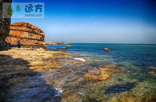 與萬只海鷗成為朋友 山東煙臺(tái)長(zhǎng)島自助游