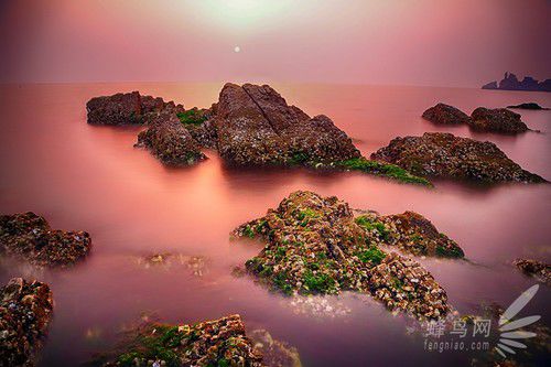 出海喂鳥吃海鮮 山東長島讓你玩到爽 出海喂鳥吃海鮮 山東長島讓你玩到爽