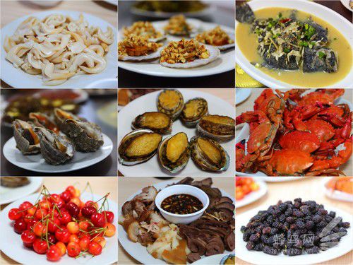 出海喂鳥吃海鮮 山東長島讓你玩到爽