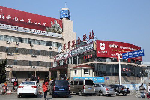 出海喂鳥吃海鮮 山東長島讓你玩到爽 出海喂鳥吃海鮮 山東長島讓你玩到爽