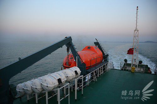 出海喂鳥吃海鮮 山東長島讓你玩到爽 出海喂鳥吃海鮮 山東長島讓你玩到爽