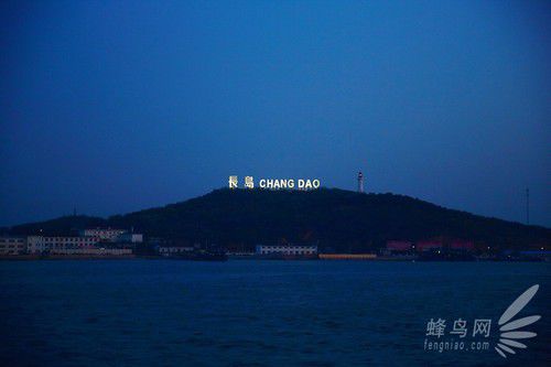 出海喂鳥吃海鮮 山東長島讓你玩到爽 出海喂鳥吃海鮮 山東長島讓你玩到爽