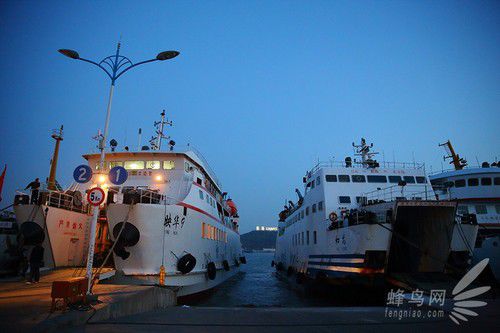 出海喂鳥吃海鮮 山東長島讓你玩到爽 出海喂鳥吃海鮮 山東長島讓你玩到爽