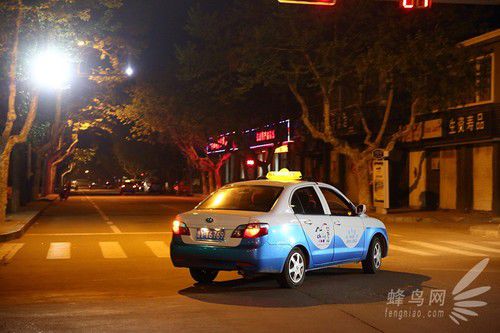 出海喂鳥吃海鮮 山東長島讓你玩到爽 出海喂鳥吃海鮮 山東長島讓你玩到爽