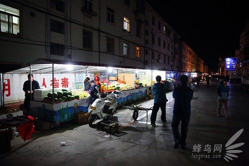 出海喂鳥吃海鮮 山東長島讓你玩到爽 出海喂鳥吃海鮮 山東長島讓你玩到爽