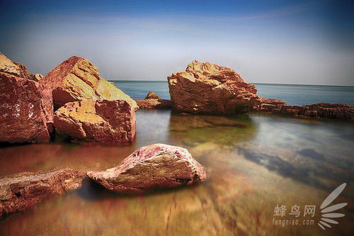 出海喂鳥吃海鮮 山東長島讓你玩到爽