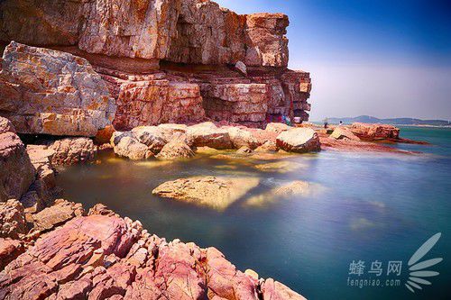 出海喂鳥吃海鮮 山東長島讓你玩到爽 出海喂鳥吃海鮮 山東長島讓你玩到爽