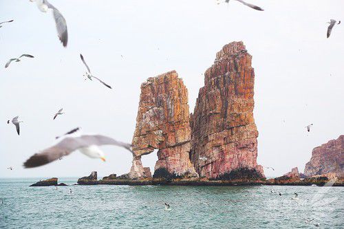 出海喂鳥吃海鮮 山東長(zhǎng)島讓你玩到爽 出海喂鳥吃海鮮 山東長(zhǎng)島讓你玩到爽