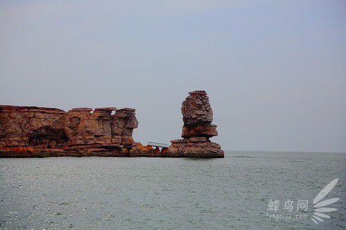 出海喂鳥吃海鮮 山東長島讓你玩到爽 出海喂鳥吃海鮮 山東長島讓你玩到爽