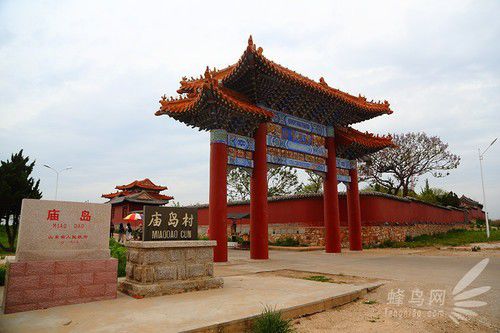 出海喂鳥吃海鮮 山東長島讓你玩到爽