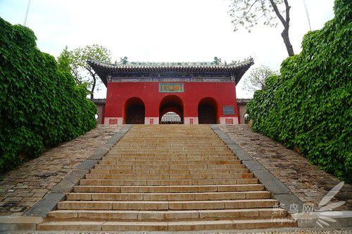 出海喂鳥吃海鮮 山東長島讓你玩到爽 出海喂鳥吃海鮮 山東長島讓你玩到爽