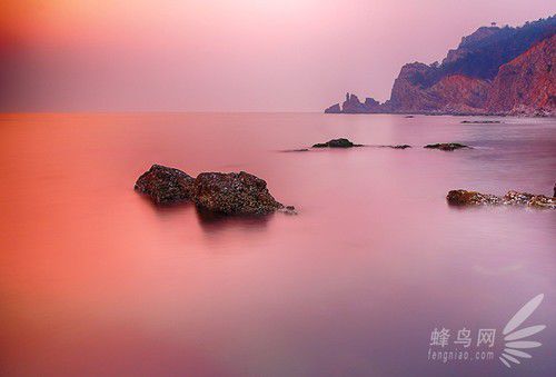 出海喂鳥吃海鮮 山東長島讓你玩到爽 出海喂鳥吃海鮮 山東長島讓你玩到爽