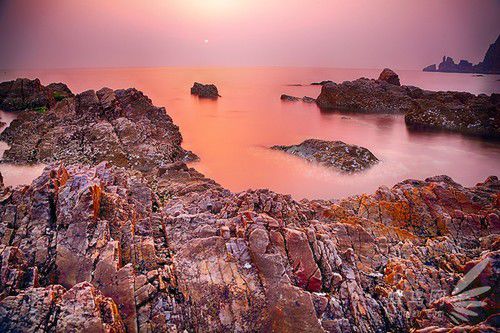 出海喂鳥吃海鮮 山東長島讓你玩到爽 出海喂鳥吃海鮮 山東長島讓你玩到爽