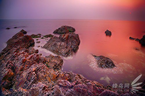 出海喂鳥吃海鮮 山東長島讓你玩到爽 出海喂鳥吃海鮮 山東長島讓你玩到爽