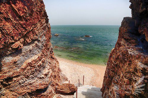 出海喂鳥(niǎo)吃海鮮 山東長(zhǎng)島讓你玩到爽 出海喂鳥(niǎo)吃海鮮 山東長(zhǎng)島讓你玩到爽