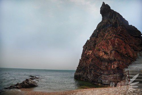 出海喂鳥(niǎo)吃海鮮 山東長(zhǎng)島讓你玩到爽 出海喂鳥(niǎo)吃海鮮 山東長(zhǎng)島讓你玩到爽