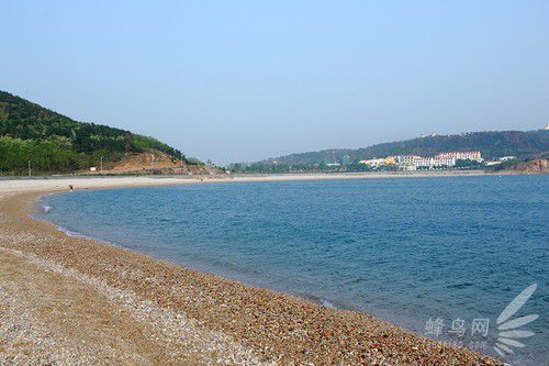 出海喂鳥吃海鮮 山東長島讓你玩到爽 出海喂鳥吃海鮮 山東長島讓你玩到爽