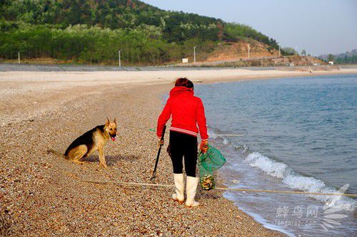 出海喂鳥吃海鮮 山東長島讓你玩到爽 出海喂鳥吃海鮮 山東長島讓你玩到爽