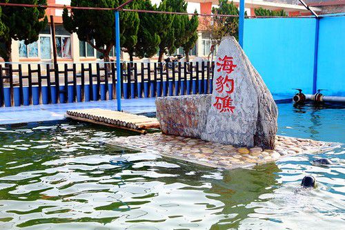 出海喂鳥吃海鮮 山東長島讓你玩到爽 出海喂鳥吃海鮮 山東長島讓你玩到爽