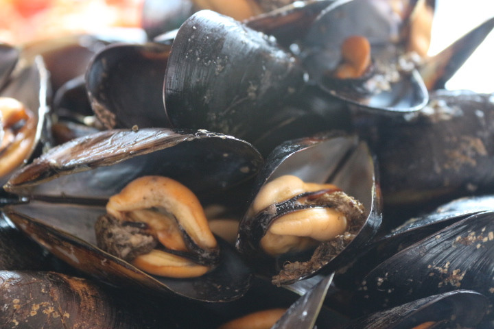 無(wú)與倫比的美味：長(zhǎng)島國(guó)際度假區(qū)的海鮮盛宴