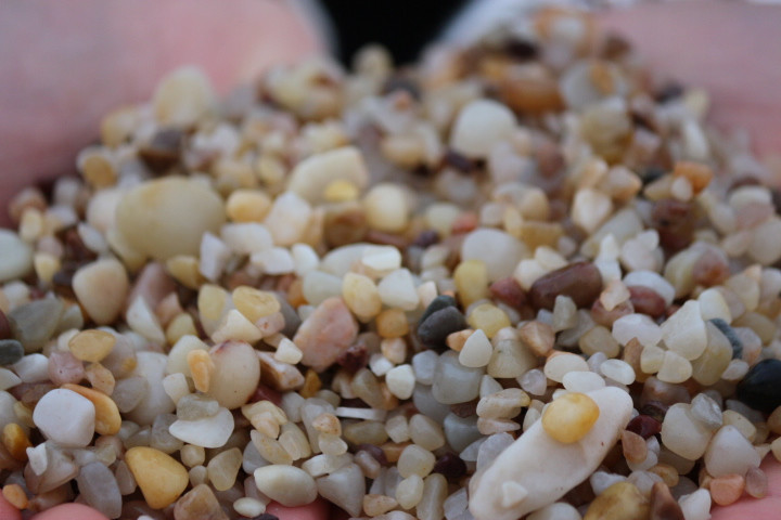 無(wú)與倫比的美味：長(zhǎng)島國(guó)際度假區(qū)的海鮮盛宴