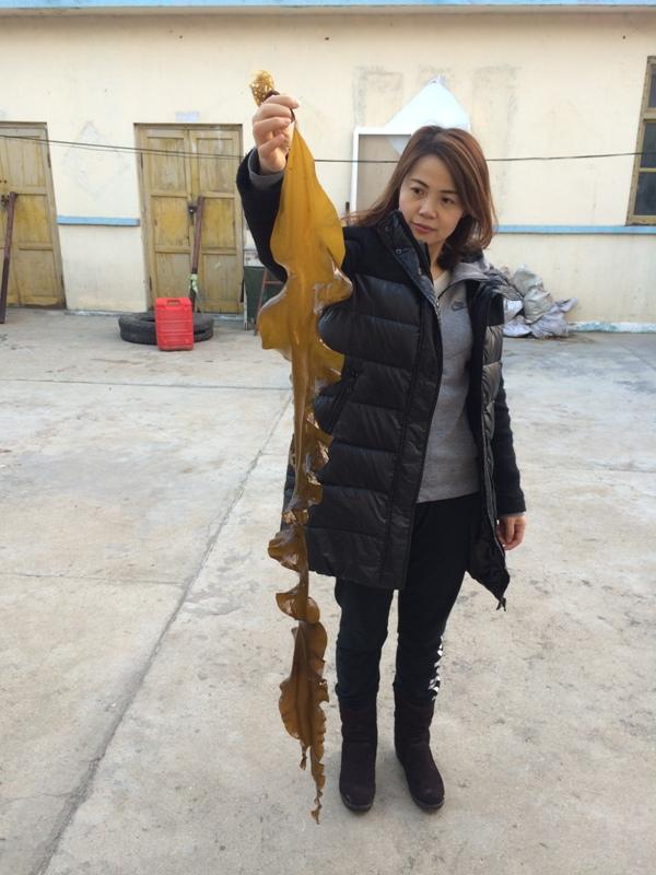 按此在新窗口瀏覽圖片