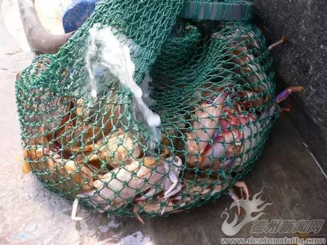 夏天的長島永遠25度，這個攻略，你未（yi)必(ding)用