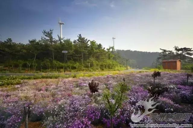 夏天的長島永遠25度，這個攻略，你未（yi)必(ding)用