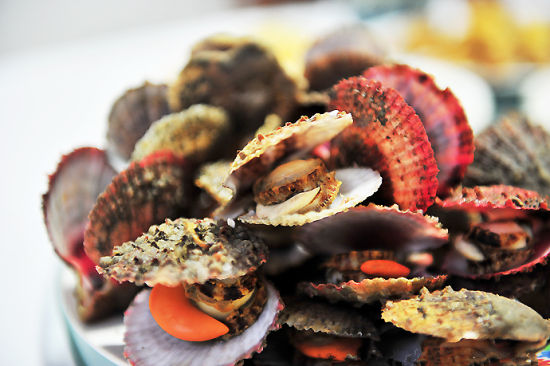 ${長(zhǎng)標(biāo)題}