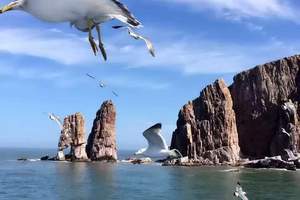 夏天帶孩子去海邊玩—長(zhǎng)島民宿，九丈崖望夫礁半月灣純玩二日游