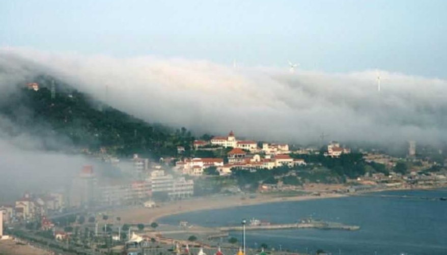 悅讀丨發(fā)現(xiàn)長(zhǎng)島，發(fā)現(xiàn)愛！即便是散步都是美好的