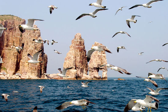 兵眼看世界 武警長(zhǎng)島中隊(duì)官兵鏡頭中的美麗海島