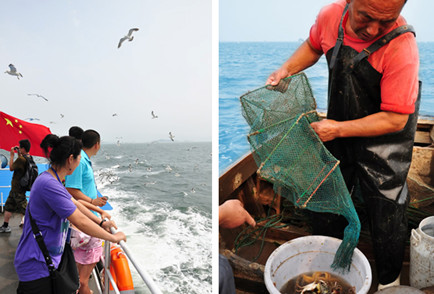 在長島當(dāng)一天“漁民” - 長島人 - 長島我的家鄉(xiāng)