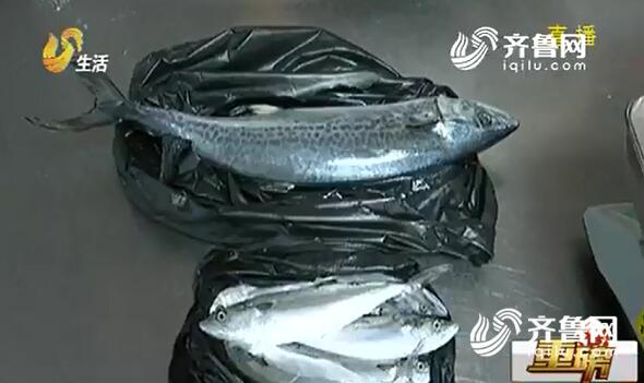 休漁期“偷捕”海鮮？煙臺(tái)違規(guī)漁船被查處