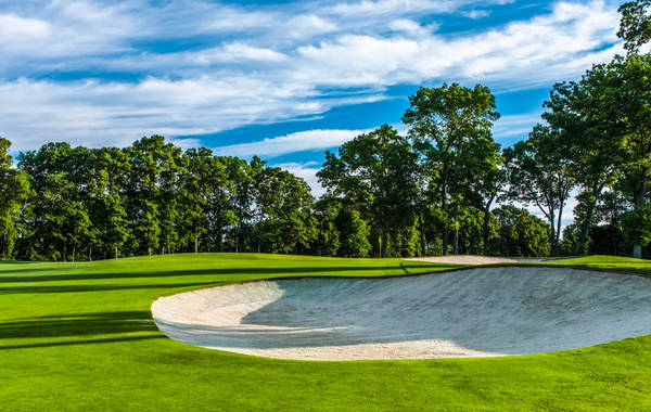 橡樹幽谷俱樂部（Glen Oaks Club）是2017年聯(lián)邦杯季后賽首場舉辦地，位于紐約長島舊西布雷（Old Westbury）。球場于1971年開業(yè)，由由喬·芬格(Joe Finger)設(shè)計。整個球由27洞組成，藍(lán)場的全部九個洞，白場的七個洞和紅場的兩個洞構(gòu)成了本次比賽的舉辦球洞，標(biāo)準(zhǔn)桿70桿，長度可以達(dá)到7346碼。