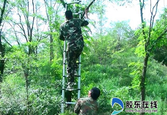 護鳥清網(wǎng)專項整治行動